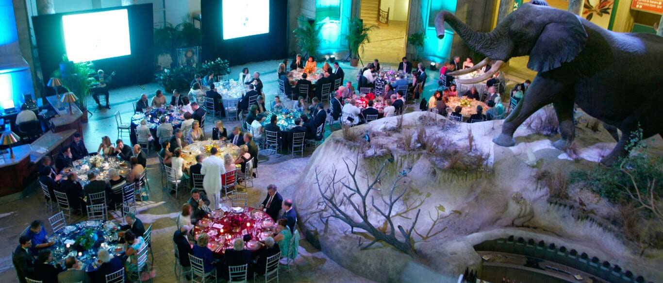 Splendor Of Diamonds Museum